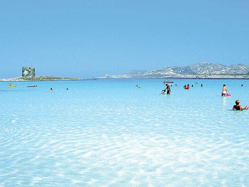 81DD53A4B59CE4B5C079CA3A64593FE7