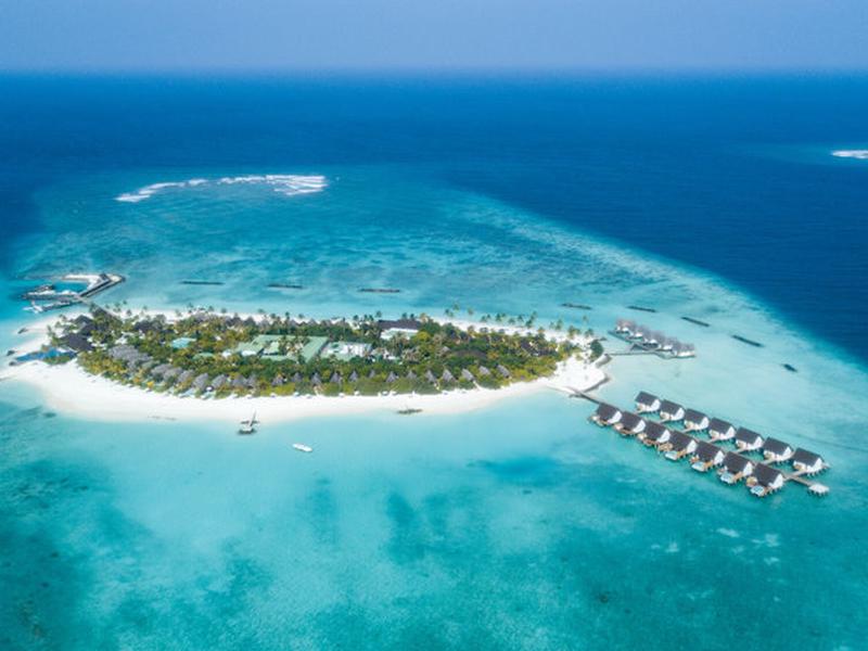 497C273926DC1808FDA830C77F74AC93