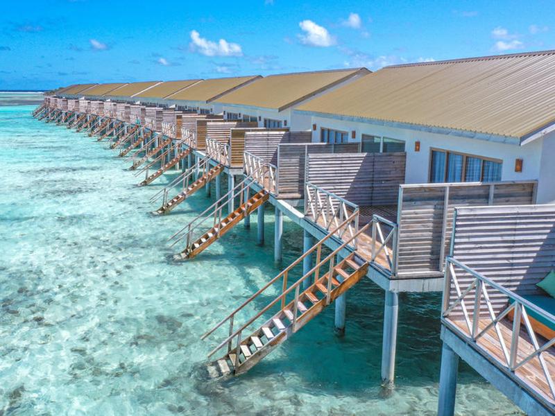 45F06536ADE5C950D739BC49EEA8FB0B