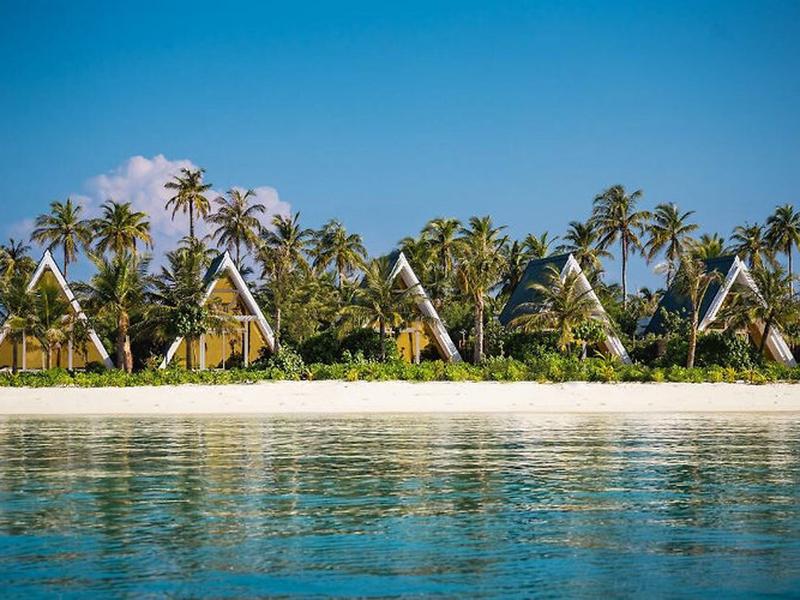 4C9C1366F939AD9EA8C51FAF34FA9ADE