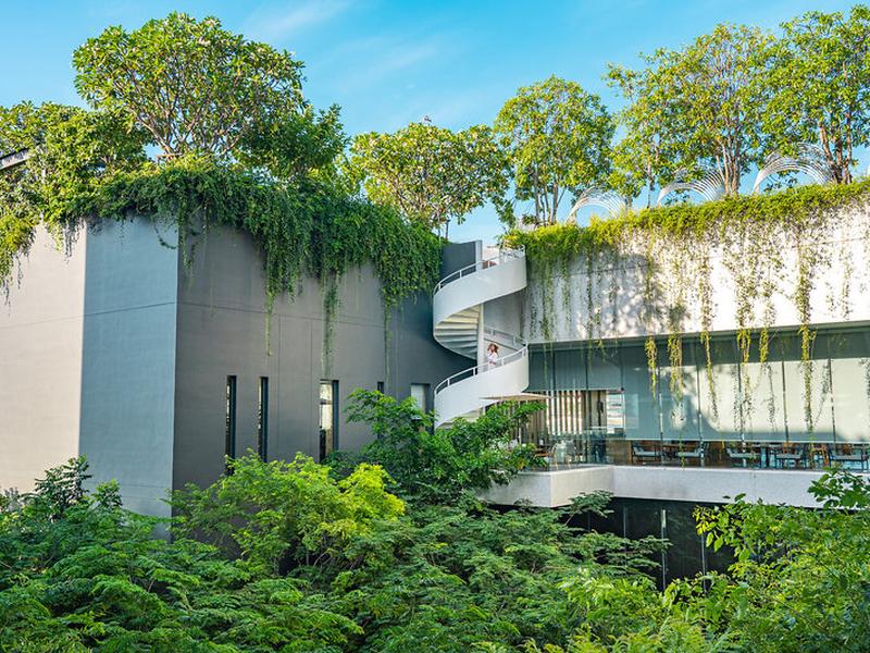 C2D539799A44822611B678CA1A37854D