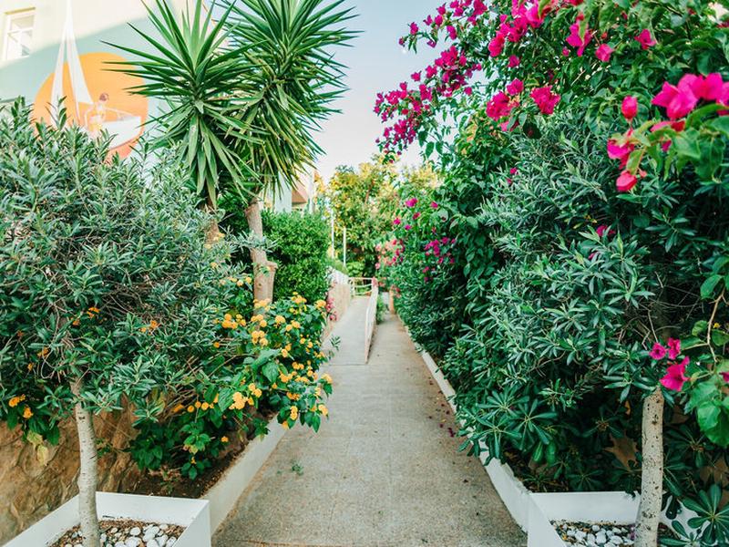 FFF45AF9EFAD1088B5A6C7A814CA7CC6