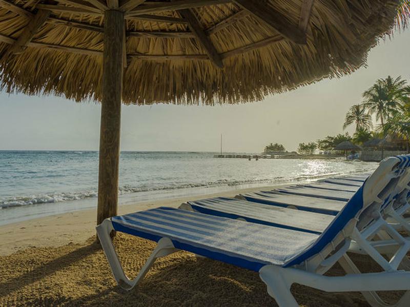 866431209FA2AEAD80491F8C8D17E795