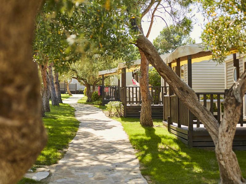 0CBC9FBC2C429C3D3518B169A0FF9C99