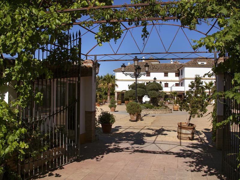 906D9A22B87D62473F35014772947CD7