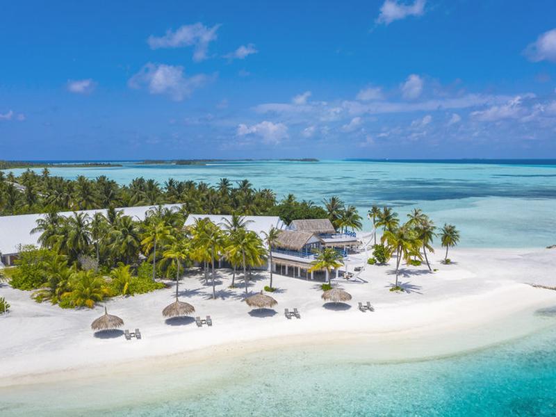 88F98A5E919DEF9E66636264F5B00849