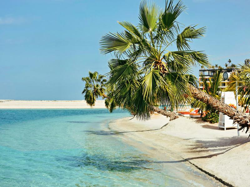 B9D12357A62C93079699751BC9772820