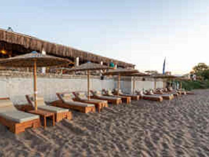 BF7161A5CFAF8278FF3997E2272D17F4