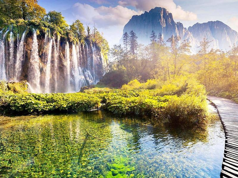 D537D7A5DE88637287112891E10C771B