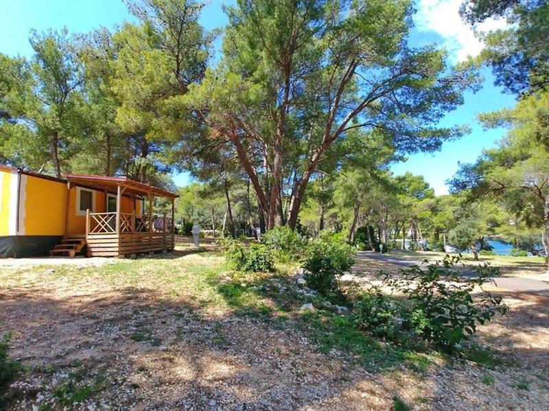 2208C869F4FDB6D3ABF75A18ECD007EB