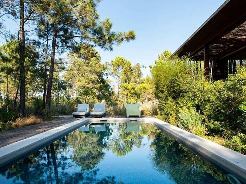 875AC1497AFCA249A7D41623B95C2187