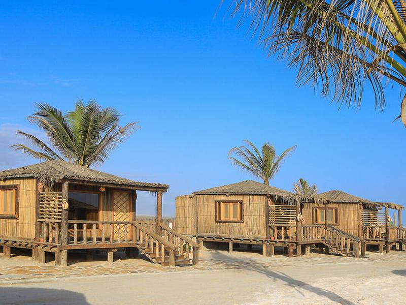 59C3E8A856409B15364C7EA3E194A3E4