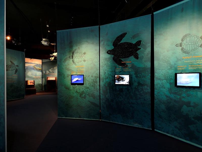 58406CB48855D53C56B246C7A98097E7