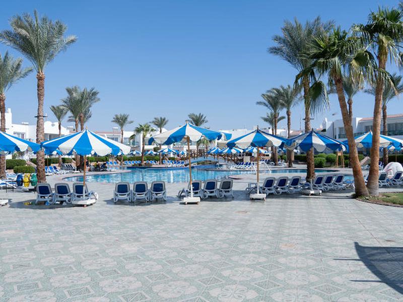 DE065D4BF0E8A7C8663C2FC80B251D08