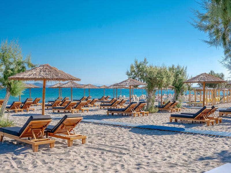 C26D3079AB3082EB0FECED74C9A02A75