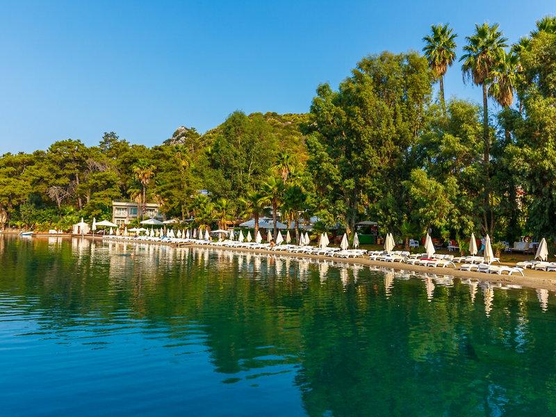 44A85493E67835364EE1C6E28397E6EA