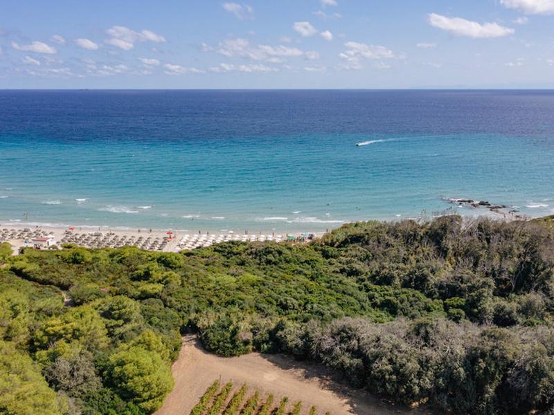 77D72EF51ECBBF2A95275E5A8779701D