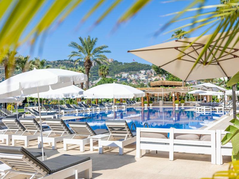 BF8C0B61E47E804EEE928E1971B5829B