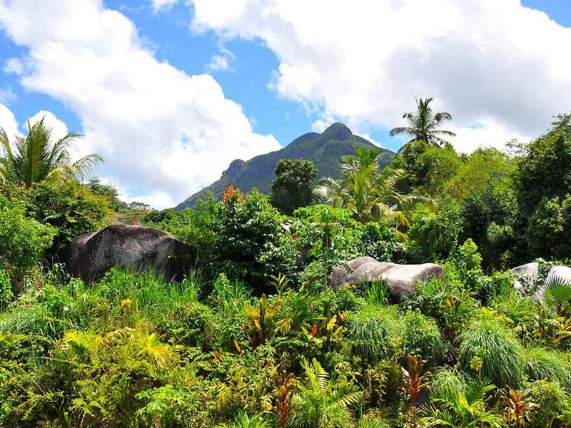 04A365413ECBC5D2C77AB9B42D8D990E