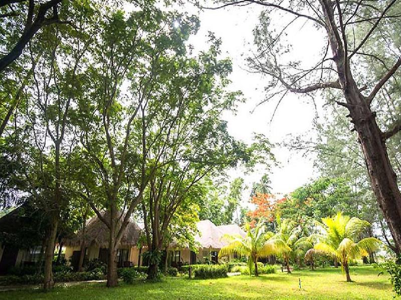 745F2079B3BA3B2C206C627E137E9D50