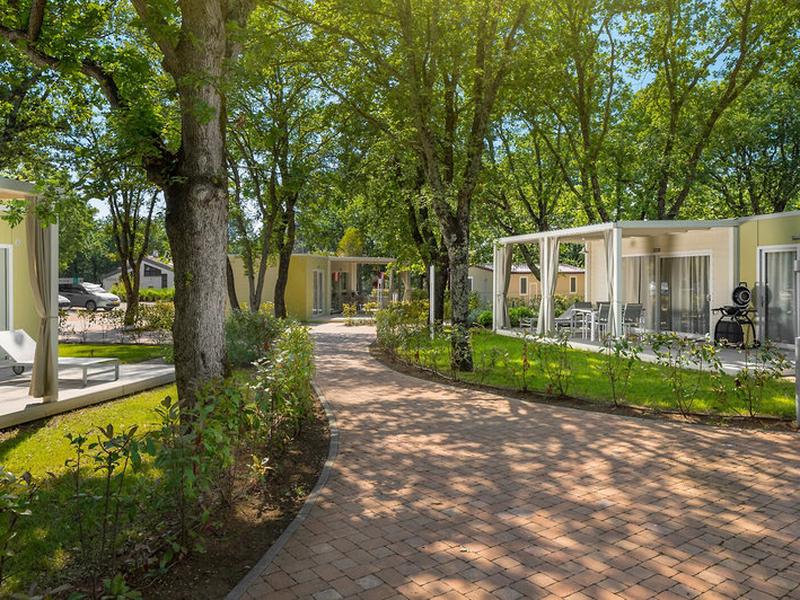 B0EE62688A110AA11899347F882305A6