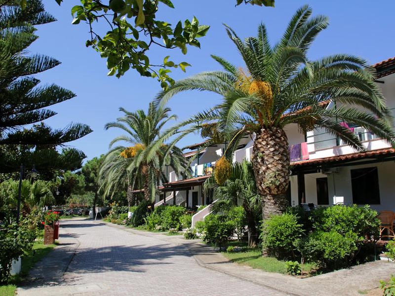 C79144E16595E58791CF337487A6DB69