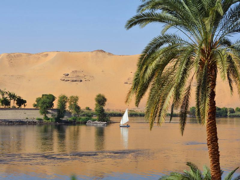 8686D9EF9166F02A191F32826FAC8E89