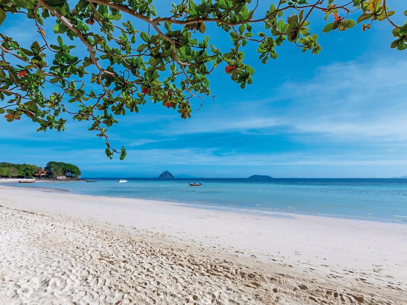 795D0A6687844B4B500847344128A7BA