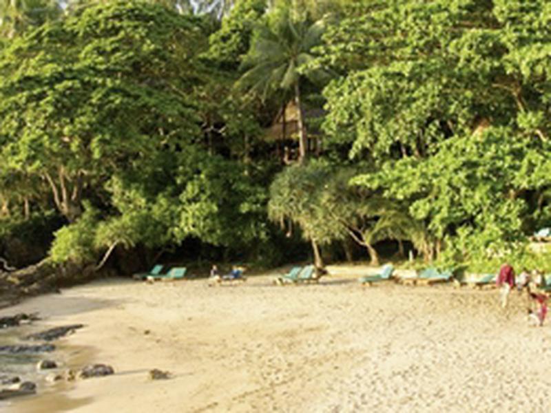 1529C13CCAB0D76F6B27719DD2C1404C