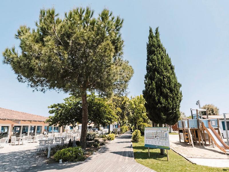 C0CE020D4DEDC959ECC5F5102C5F244D