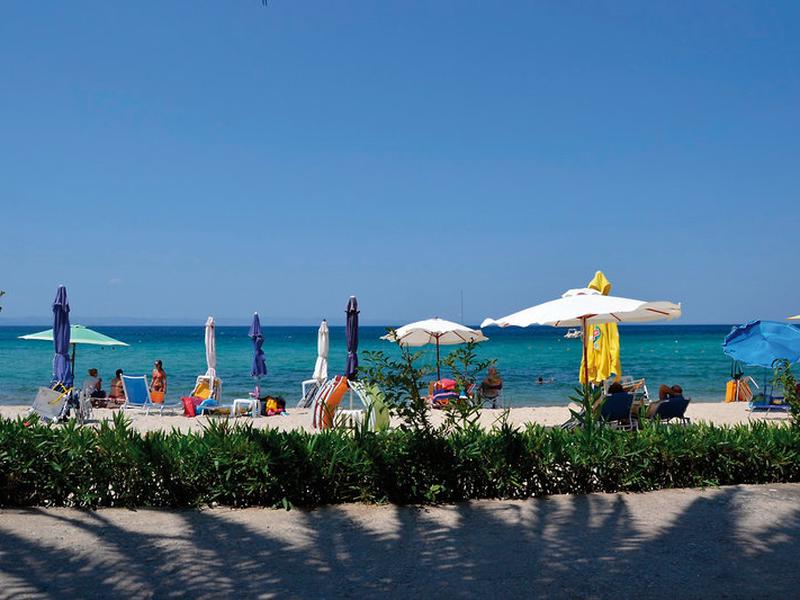 D71E1362033A5AA94979A5CB2826F64F