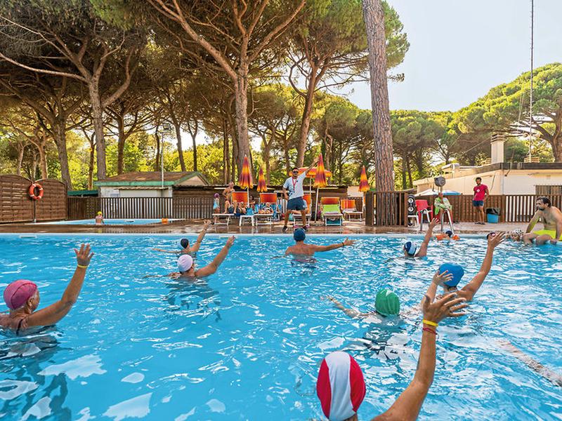 A36CE68939FC51E6509EE40D05889750