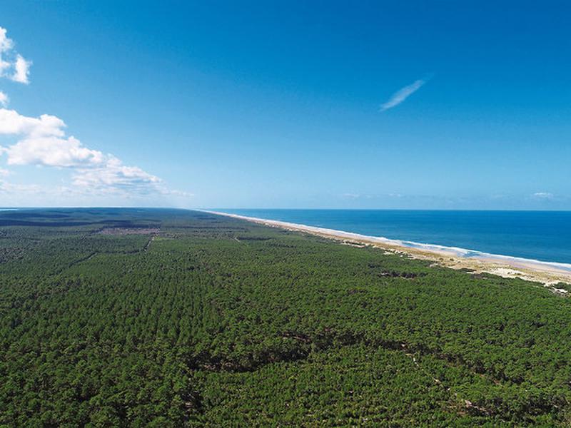 30960413F4C3588B0C4CA534643490A3