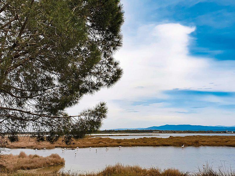 B780F0BEFDDC4AFF20F8B521FCB54C8B