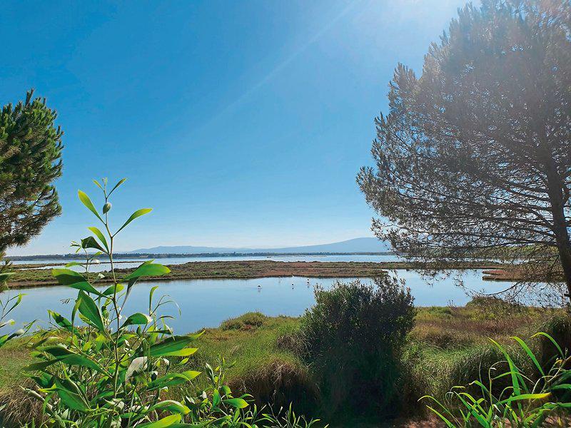 06F6EACA9BD44092A626A33002E946A2