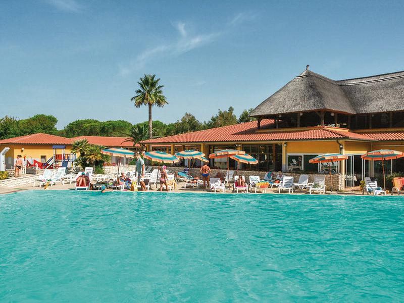 9BBEE4839579FEC49F926F2E6E9C686E