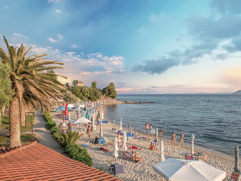 2933C872137655DAF8ECE41DFC249F1D