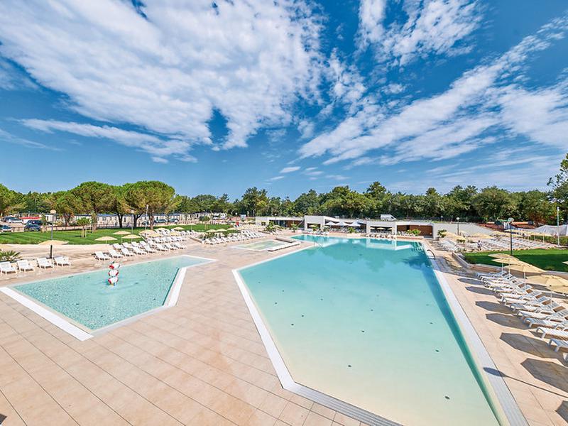 E64809CBA21D9890C5D39031E8FFC54E