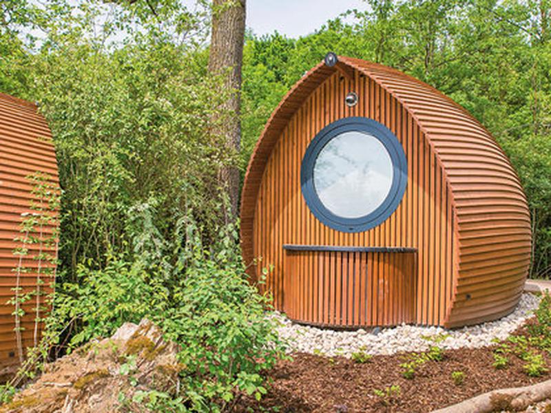 F8BF4BFAD92EABC31AE2E5A3F084D44C