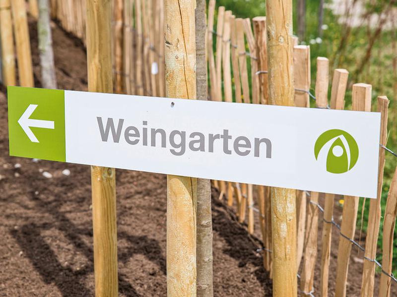 44D72A5F16A1A4C612518F2DA80220FE