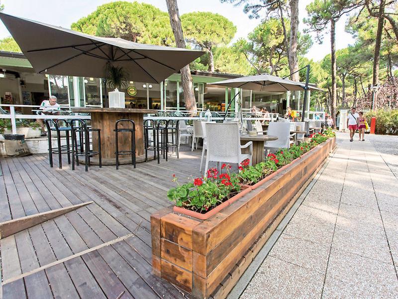 3962DC01A407BB81621FD546364833C6