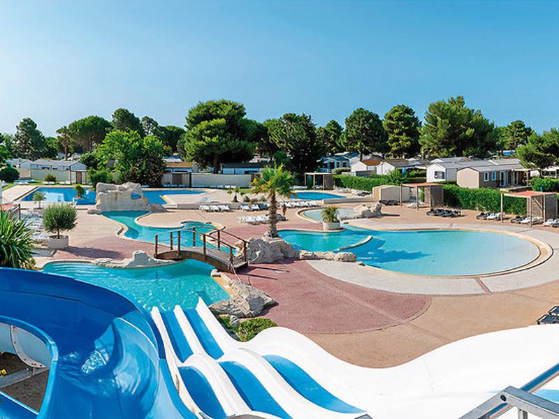 29742BA18F891099711DFDBD44244363