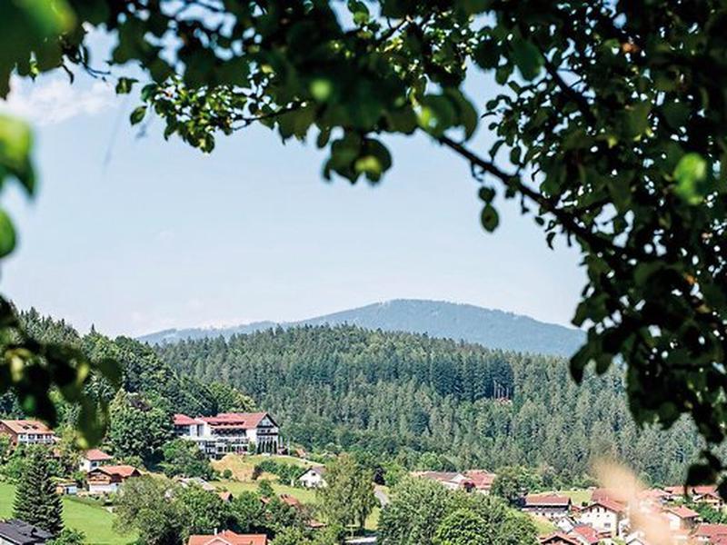 655E338E94BA92ECC544230C94E67AE1