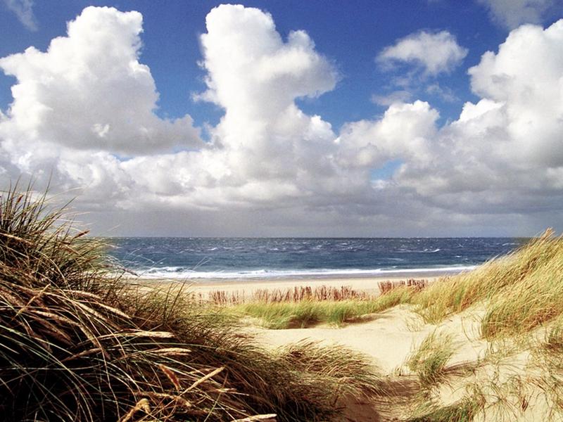 662FAE36E46AE2D4662C465CE3DD7B9A