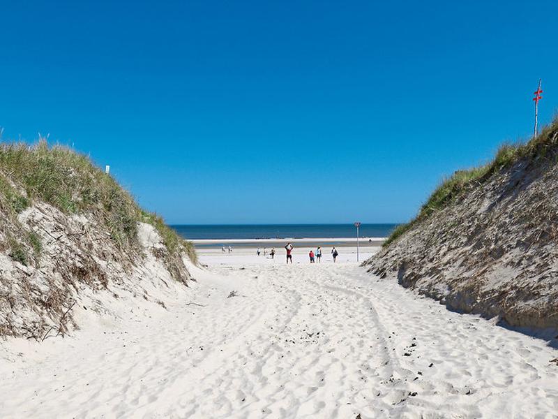 C73BB7A784F2D76551C803294B74F389