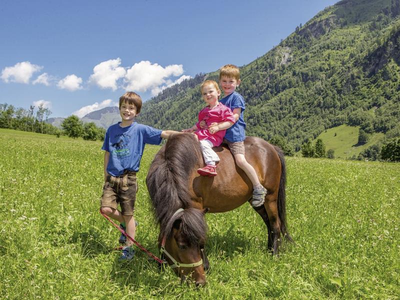 35E4C07BD7413398DB67ECCD3642B8E0