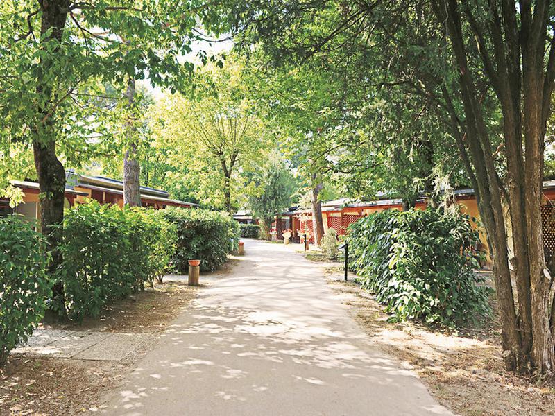 E7798FBD76C948E6BEF9B645D45BEEF6