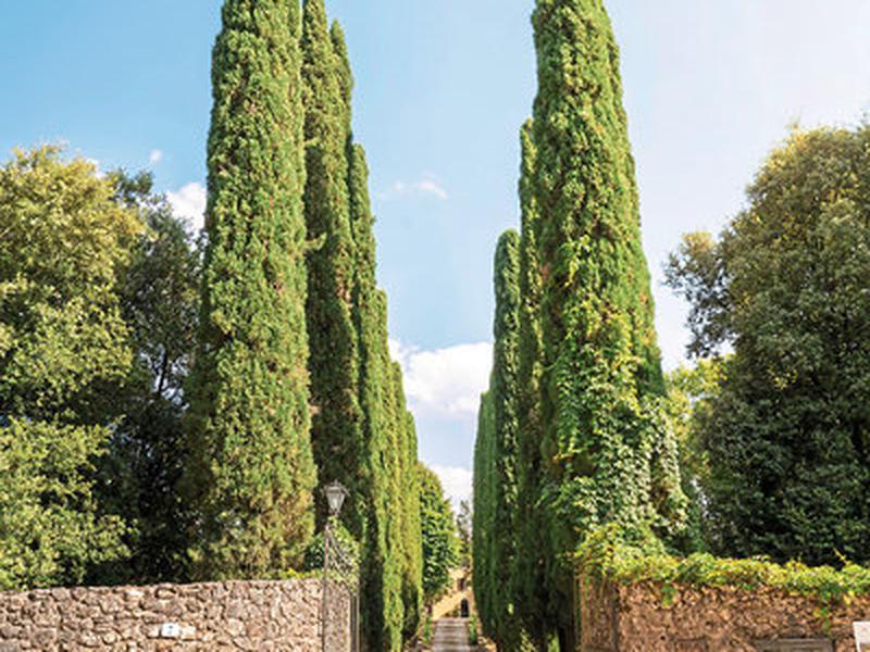 D7D36F45D316435F66F638B41EF42179