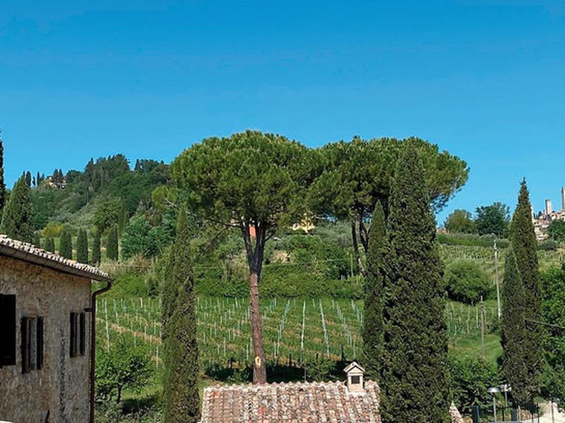 9E26366724EE44540C11100FE130BFFC