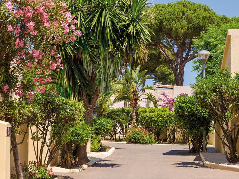 A1F80E626A067903FE678613EA1795F6